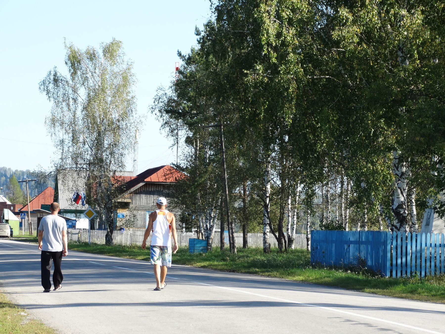 Купить Поселок глемпингов "Тишина гор" земельные участки Горного Алтая