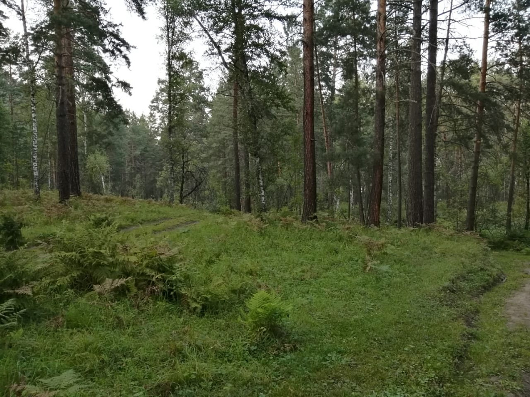 Земельные участки между Телецким трактом и дорогой на Верх-Бийск